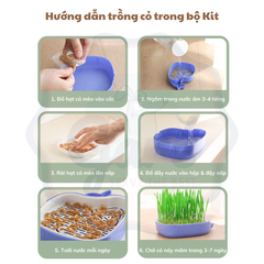 Hộp trồng cỏ mèo hình cá