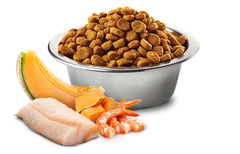 KITTEN Ocean -Cod, Shrimp, Pumpkin And Cantaloupe Melon | Hạt Farmina N&D Cá Tuyết, Tôm, Bí Ngô Và Dưa Đỏ cho Mèo Con