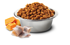 Hạt Adult Cat Ocean -Herring Pumpkin Orange Farmina N&D | Cá trích Bí ngô Cam chco Mèo trưởng thành