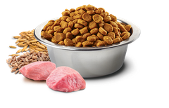 Hạt Ancestral Grain Adult Cat Chicken Spelt Oats Pomegranate Farmina N&D - Hạt Farmina Gà Lúa mì Yến mạch Lựu cho Mèo trưởng thành