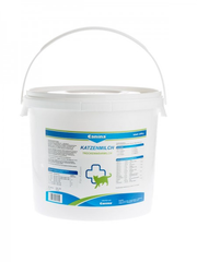 Sữa Kitten Milk Katzenmilch Canina Mèo