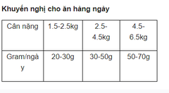 Hạt Felicia Urinary Sterilised Cat Salmon Hỗ trợ tiết niệu cho mèo triệt sản