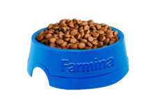 Matisse Kitten Farmina Mèo con 1 - 12 tháng Mèo mẹ , mèo con