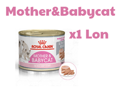 195gr Pate Mother&Babycat Royal Canin Mèo Mẹ mang thai và Mèo Con Hỗ trợ sức khỏe