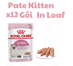 Pate Kitten Royal Canin Mèo