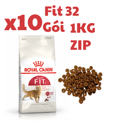 Hạt Fit 32 Royal Canin cho Mèo trưởng thành trên 12 tháng vận động thường xuyên