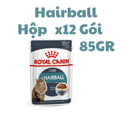 Pate Hairball Royal Canin cho Mèo hỗ trợ tiêu búi lông