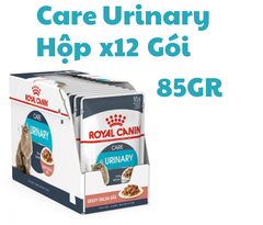 Pate Care Urinary Royal Canin Mèo tiết niệu
