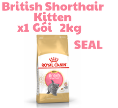 Hạt KITTEN British Shorthair Royal Canin cho Mèo con dưới 12 tháng tuổi giống Anh lông ngắn