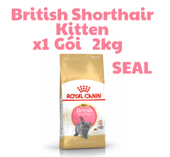 Hạt KITTEN British Shorthair Royal Canin cho Mèo con dưới 12 tháng tuổi giống Anh lông ngắn