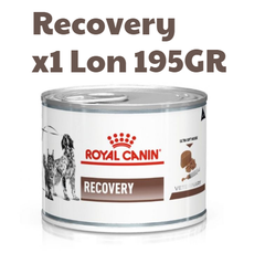 195gr Pate Recovery Royal Canin Chó Mèo Thúc đẩy quá trình phục hồi