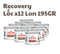 195gr Pate Recovery Royal Canin Chó Mèo Thúc đẩy quá trình phục hồi
