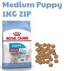 Hạt Medium Puppy Royal Canin cho Chó con giống vừa và lớn