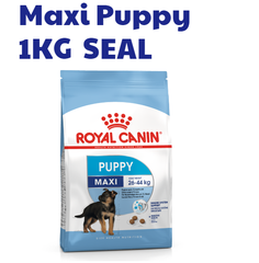 Hạt Maxi Puppy Royal Canin cho Chó con Lông dài