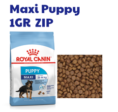 Hạt Maxi Puppy Royal Canin cho Chó con Lông dài