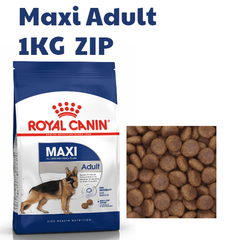 Hạt Maxi Adult Royal Canin cho Chó trưởng thành giống lớn