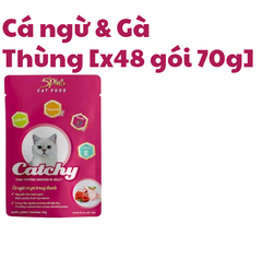 70g - Gói Pate Catchy 5Plus