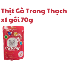 70g - Gói Pate Catchy 5Plus