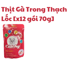 70g - Gói Pate Catchy 5Plus