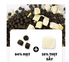 1.5kg SEAL TEB - Hạt Teb City cho Mèo