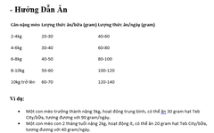 Hạt Teb City cho Mèo