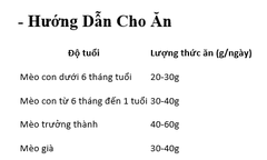 Hạt Keos Seafood Mèo mọi độ tuổi vị Hải sản