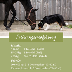 Dầu gai dầu Hanfol Tierlieb bổ sung Omega 3 & Omega 6