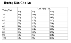 Hạt Poodle Puppy Royal Canin cho Chó con giống Poodle