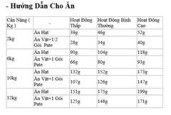 Hạt Poodle Adult Royal Canin cho Chó Poodle trưởng thành