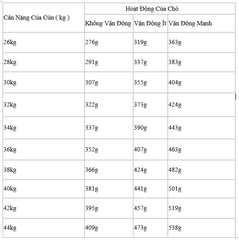 Hạt Maxi Adult Royal Canin cho Chó trưởng thành giống lớn