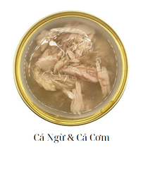 Fit4Cats Premium 85g CattyMan