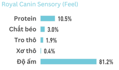 85gr - Gói Pate Sensory Royal Canin Mèo