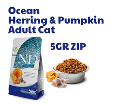 Hạt Adult Cat Ocean -Herring Pumpkin Orange Farmina N&D | Cá trích Bí ngô Cam chco Mèo trưởng thành