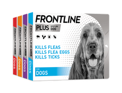 Nhỏ gáy Frontline Plus cho Chó