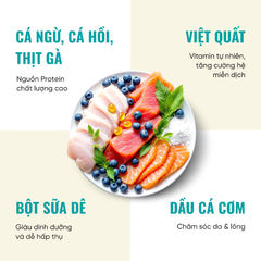 Hạt Bite Of Wild K42 Soft Kitten Mèo con