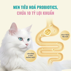 Hạt Bite Of Wild K42 Soft Kitten Mèo con