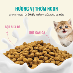 Hạt Bite Of Wild K42 Soft Kitten Mèo con