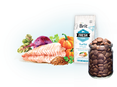 Hạt BRIT Fresh FISH with Pumpkin ADULT LARGE Muscles & Joints cho Chó trưởng thành giống lớn >25kg