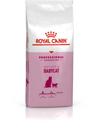 Hạt Mother & Babycat Royal Canin cho Mèo mẹ Mèo con