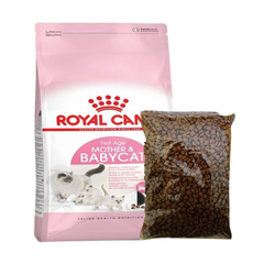 Hạt Mother & Babycat Royal Canin cho Mèo mẹ Mèo con