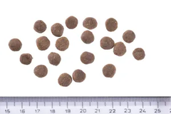 Hạt BRIT Care DOG GRAIN-FREE PUPPY Salmon cho Chó con