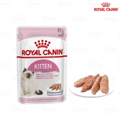 Pate Kitten Royal Canin Mèo