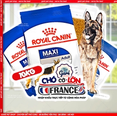 Hạt Maxi Adult Royal Canin cho Chó trưởng thành giống lớn