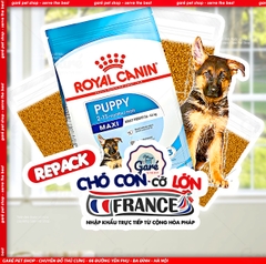 Hạt Maxi Puppy Royal Canin cho Chó con Lông dài
