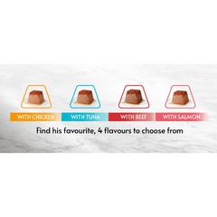 Pate GOURMET Revelations Mèo