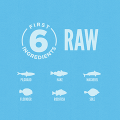 Hạt ORIJEN Six Fish cho Mèo mọi độ tuổi