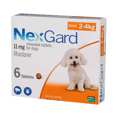 NEXGARD Phòng và trị ve và bọ chét trên chó
