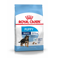 Hạt Maxi Puppy Royal Canin cho Chó con Lông dài