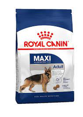 Hạt Maxi Adult Royal Canin cho Chó trưởng thành giống lớn