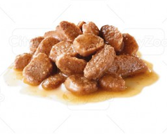 Pate Hairball Royal Canin cho Mèo hỗ trợ tiêu búi lông